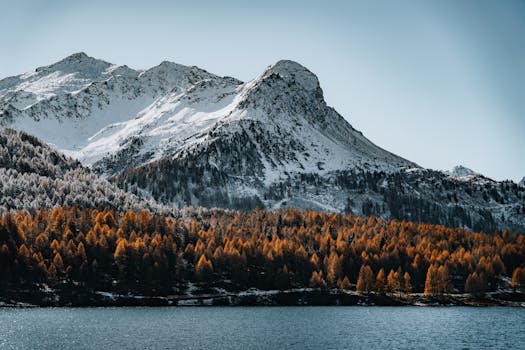 Beyond the Brochure: What Truly Defines Copper Mountain College?