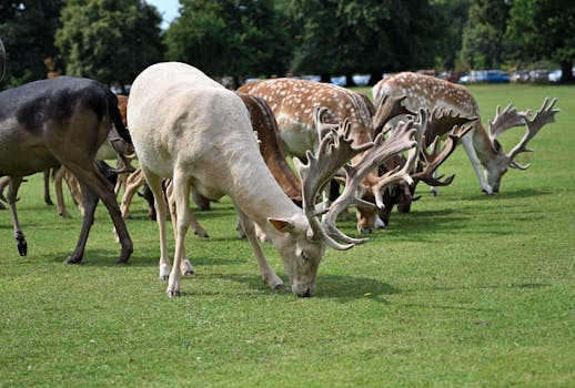 Does Cucumber Sabotage Your Intermittent Fast? Let’s Investigate.