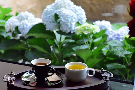 The Elixir Enigma: Does Herbal Tea Truly Uphold Your Intermittent Fasting Window?