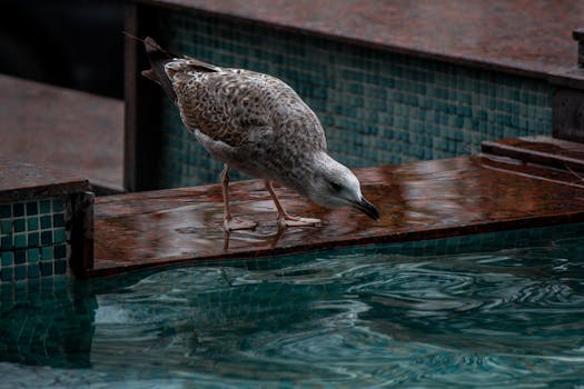 Unpacking the Dollars: What’s the Real Story Behind Judge Jeanine’s Net Worth?