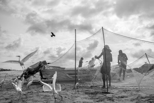 Beyond the Brochure: Unpacking the Real Value of Brightpoint Community College