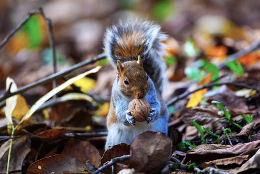 Beyond the Plate: Unlocking the Deeper Power of a Mindful Eating Worksheet