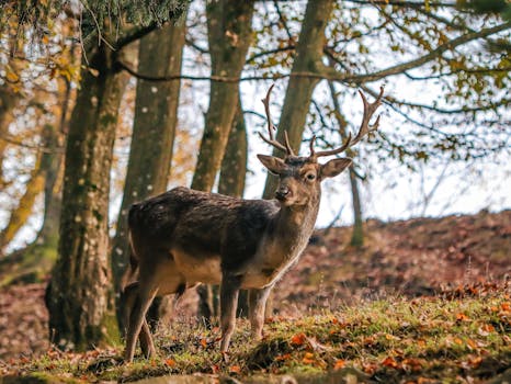 Does Intermittent Fasting Unintentionally Elevate Your Cortisol Levels? Unpacking the Nuances